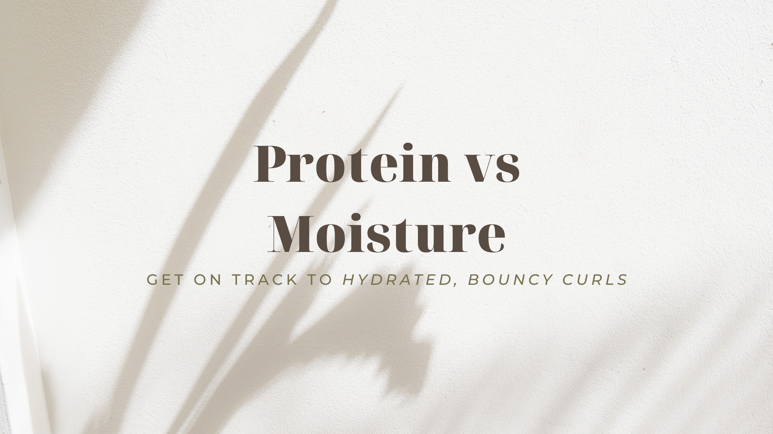 Do your curls need more protein or more moisture?