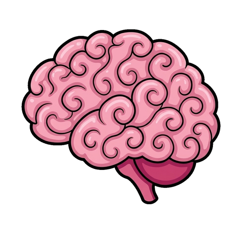 24/7 AI Curl Brain
